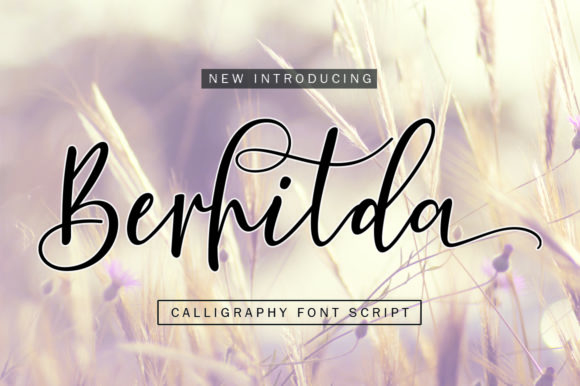 Berhilda: A Font for Elegant Expression