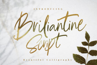 Briliantine Script: A Font for Editorial Grace