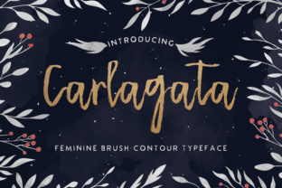 Carlagata: A Handwritten Typeface That Feels Like a Thoughtful Pause