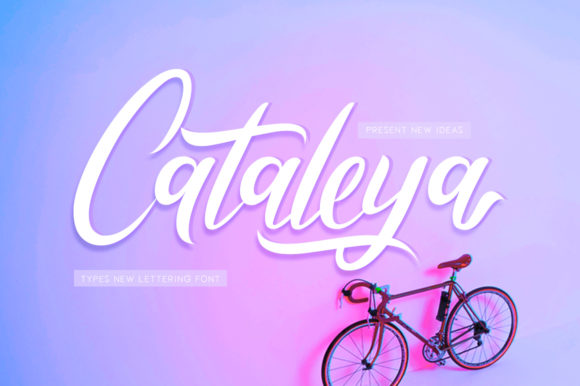 Cataleya: A Modern Script Font That Earns Its Place