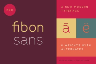 Fibon: A Clean Sans Serif Font That Sharpens Your Campaign Messaging