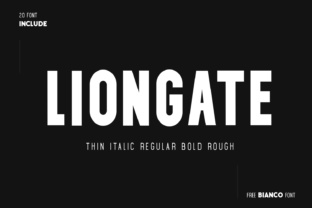 Font Choice That Matters: How Liongate Boosts Campaign Clarity