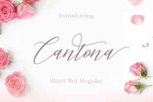 Font Choice That Speaks Volumes: How Cantona Elevates Campaign Design