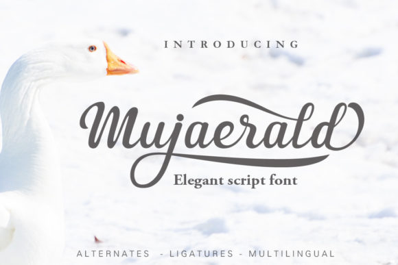 Font That Speaks Volumes: Mujaerald for Branding