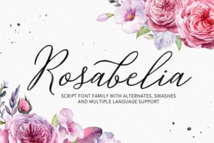 Rosabelia: A Script Font for Campaign Creativity