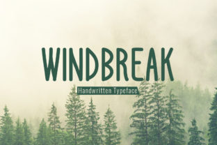 Windbreak: A Script Font That Adds Personality to Branding