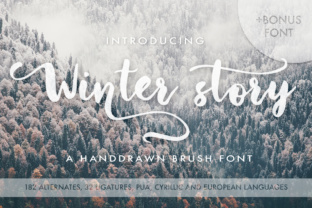 Winter Story: A Script Font with Quiet Confidence